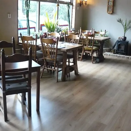 Eetcafe/pension Nooitgedacht Maison d'hôtes Strijen